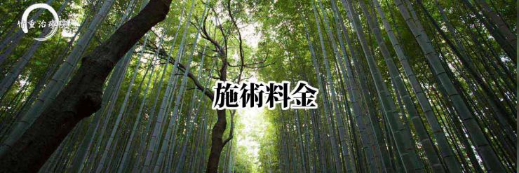 山口県 山口市 小郡 整体・マッサージ 竹重治療院 施術料金 山口市小郡の整体・マッサージの料金表です。 山口県 山口市 小郡 整体・マッサージ 竹重治療院 施術料金 山口市小郡の整体・マッサージの料金表です。