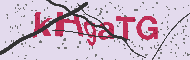 Captcha認証コード